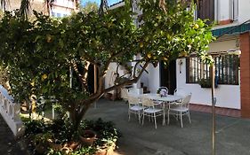 Casa Las Violetas